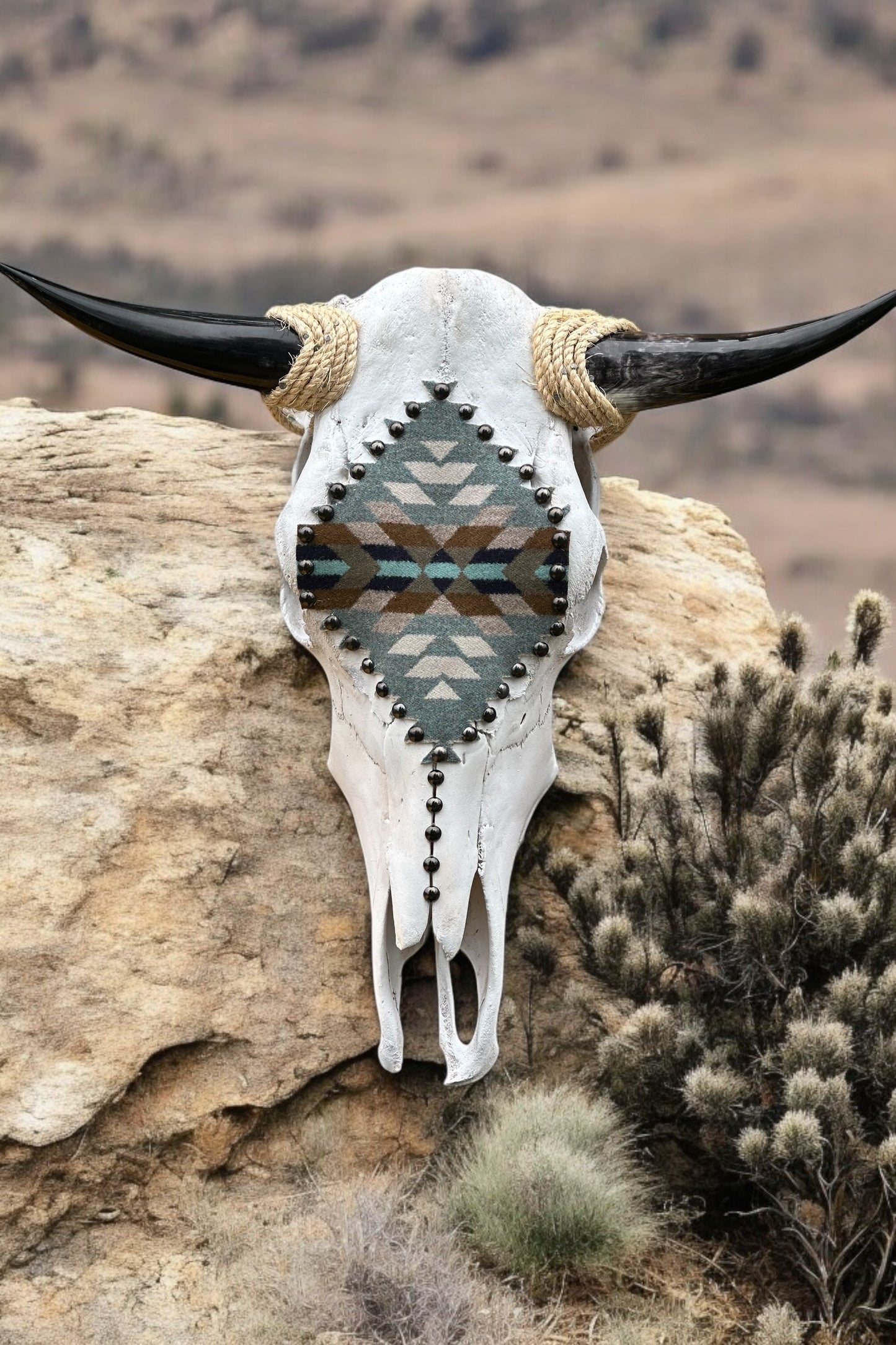 🦬 Authentic Steer Skull with Polished Horns & Pendleton Wool Design