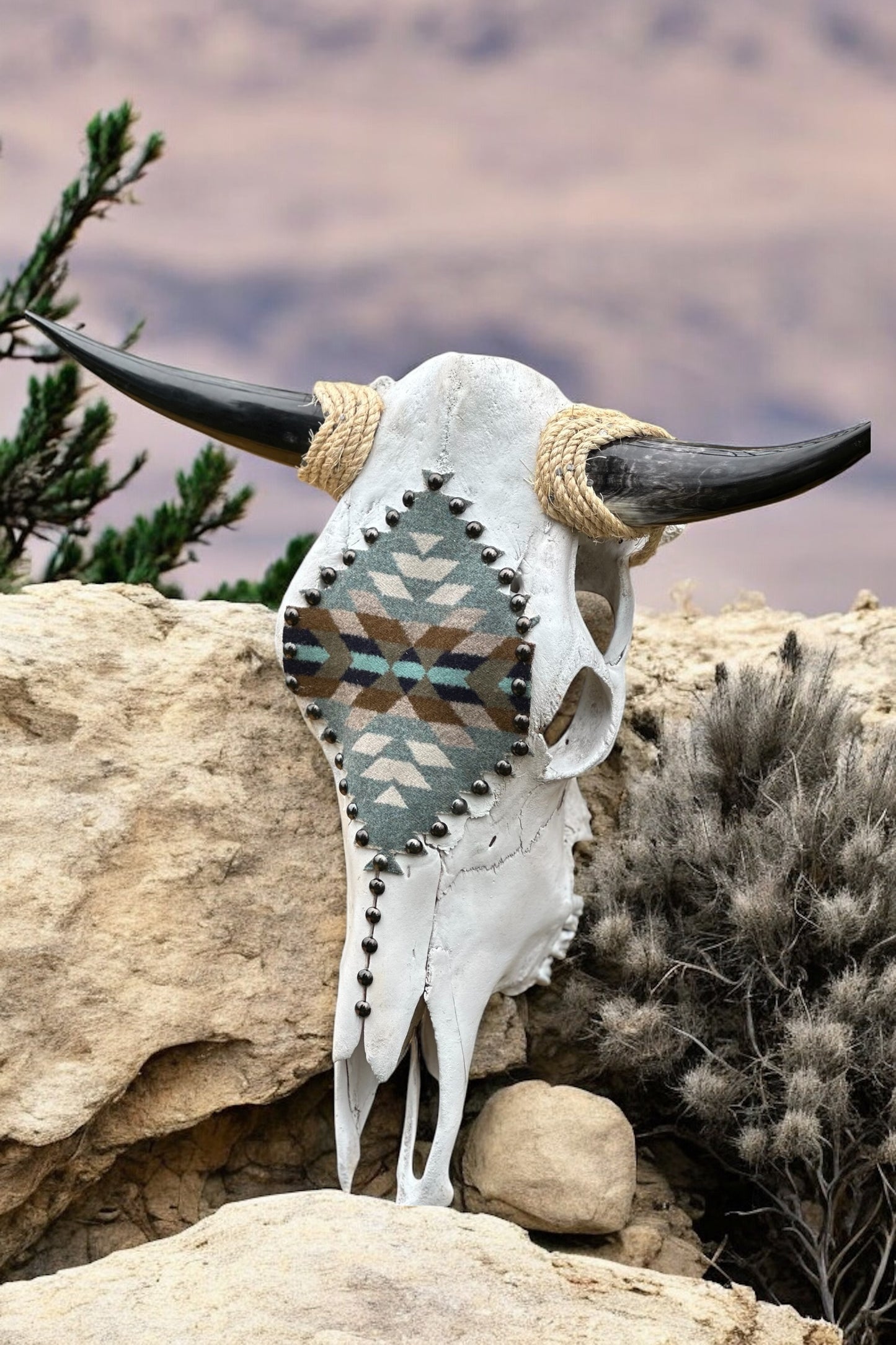 🦬 Authentic Steer Skull with Polished Horns & Pendleton Wool Design