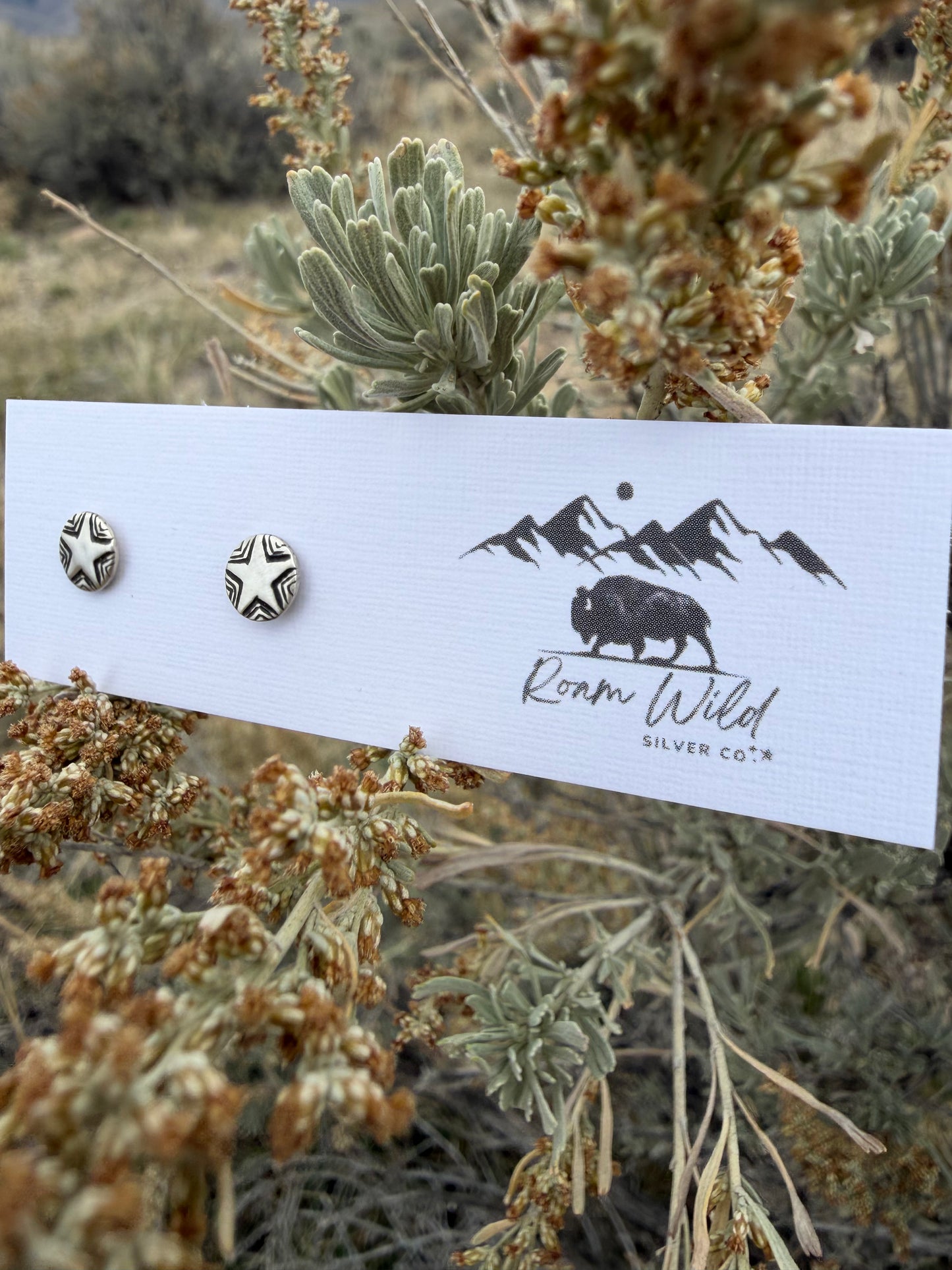 The Wayfinder Star Studs