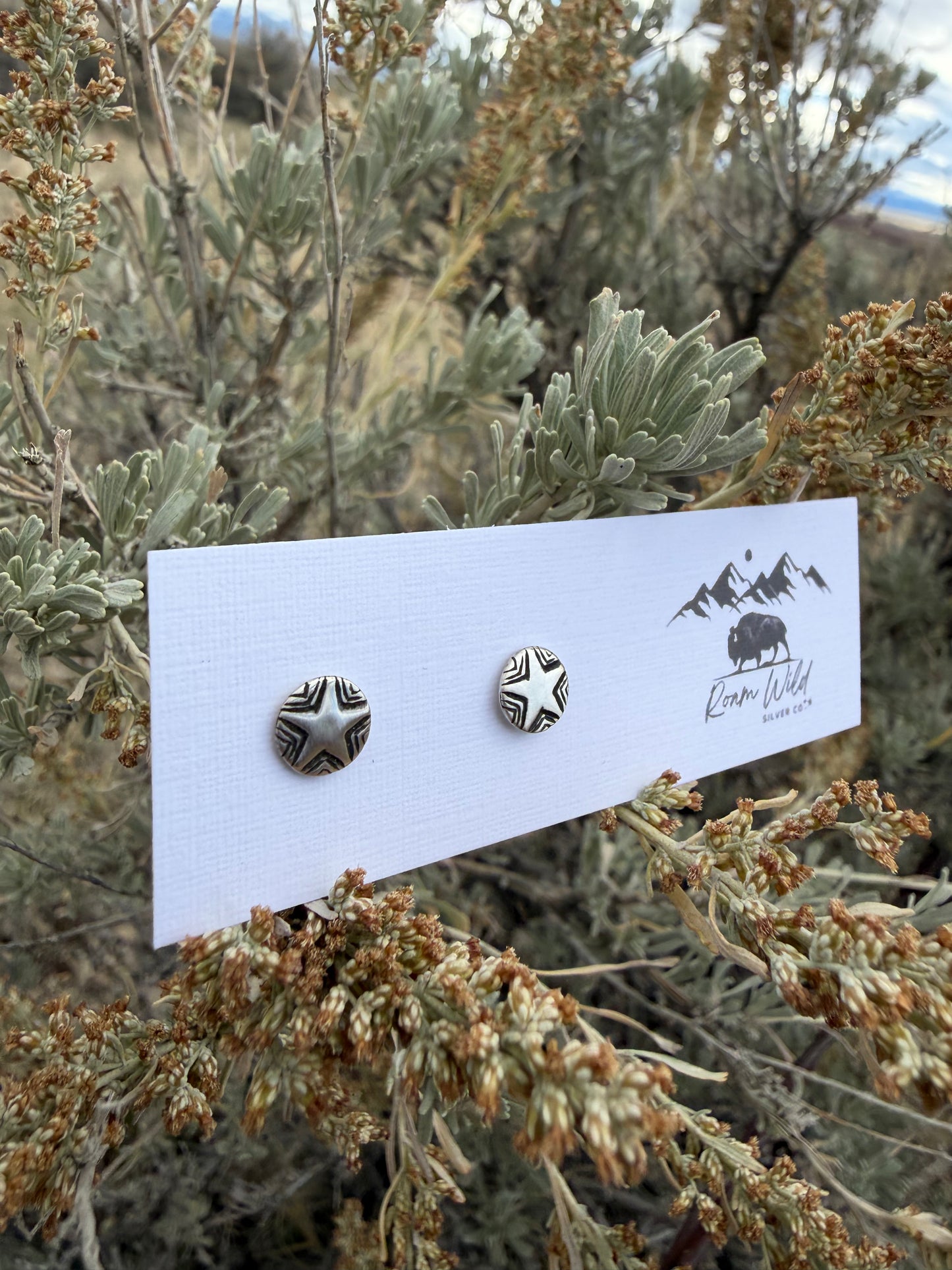 The Wayfinder Star Studs