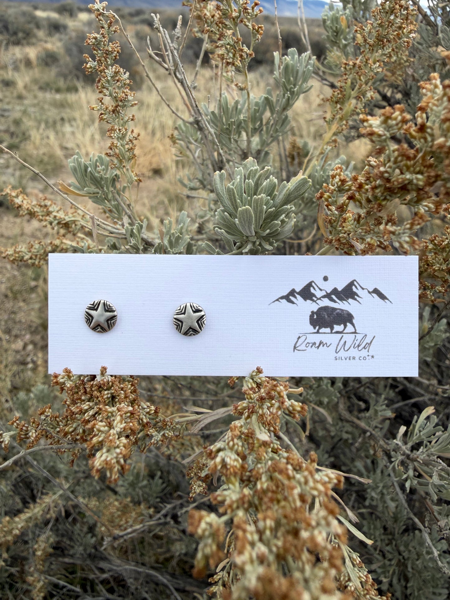 The Wayfinder Star Studs